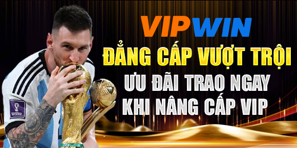 gà chọi c1 gold city