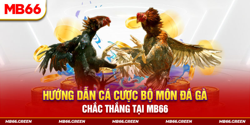 555wim CQ9 Điện Tử