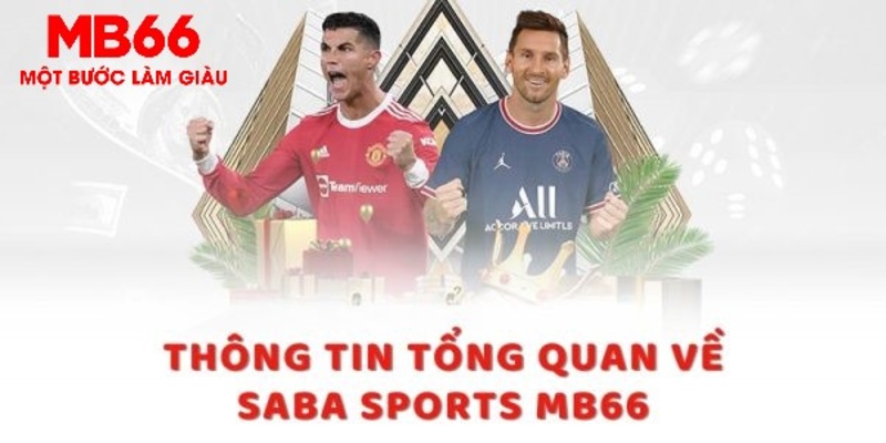 555wim trực tiếp xổ số miền bắc