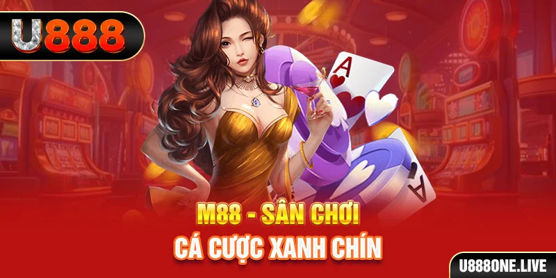 555wim gà chọi cậu thanh