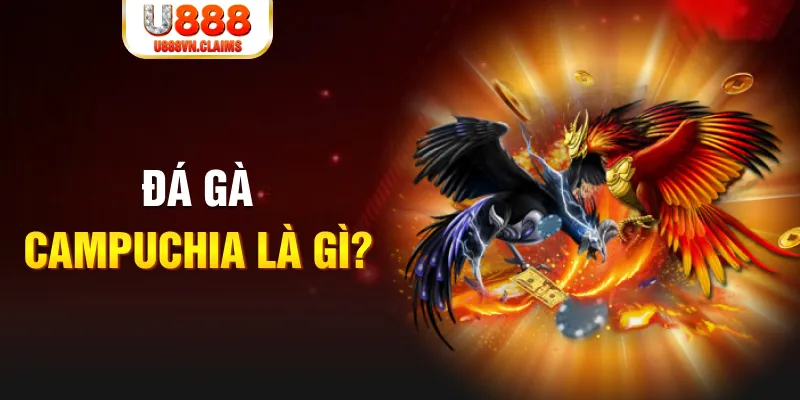 555wim xổ số miền nam thứ sáu