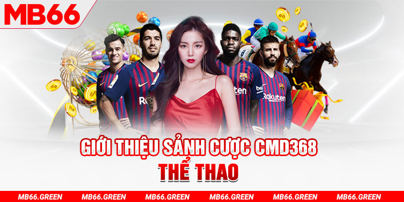 555wim YGR Điện Tử