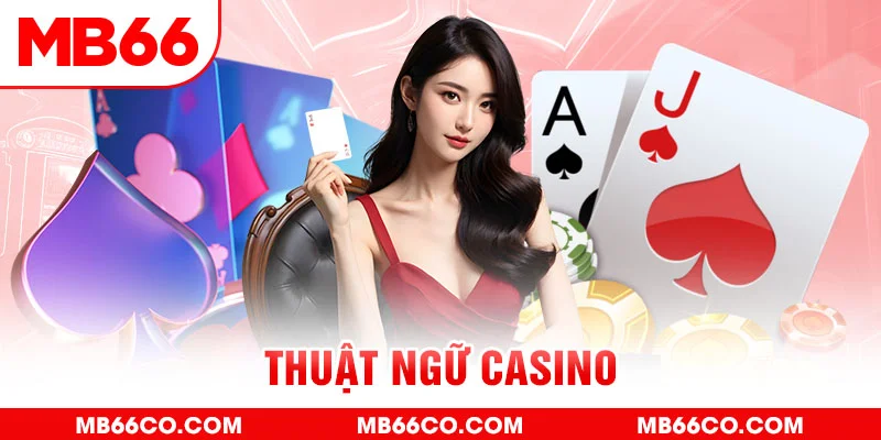 555wim slot là j