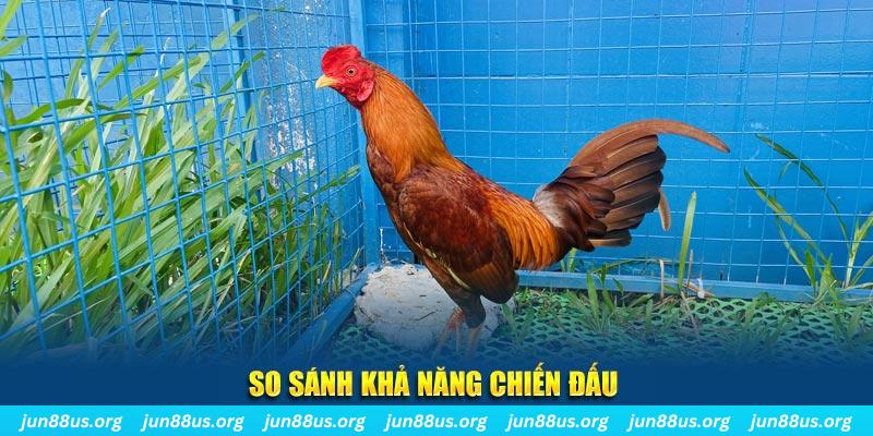 555wim xổ số tiền giang