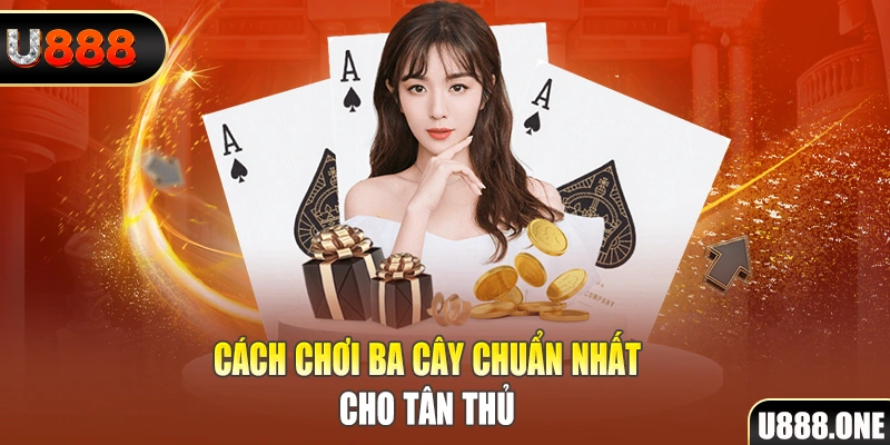 555wim đá gà thomo trực tiếp