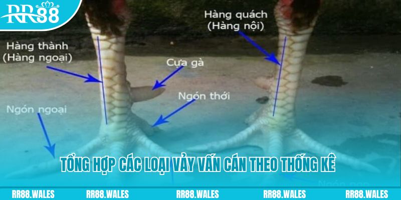 555wim nổ hũ chơi như thế nào