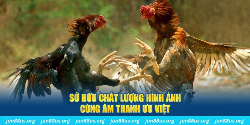555wim tai game danh bai ve may tinh