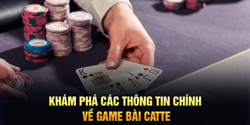 555wim Trăm người Bo tám Bo chín