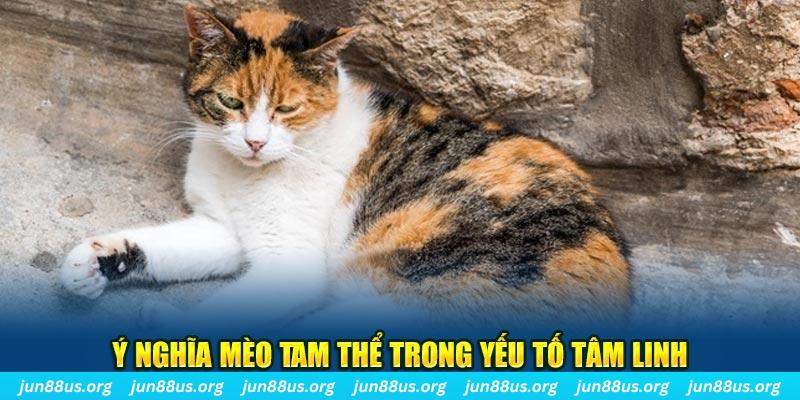 555wim xổ số quảng trị