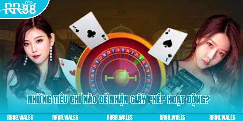 555wim casino ở đâu