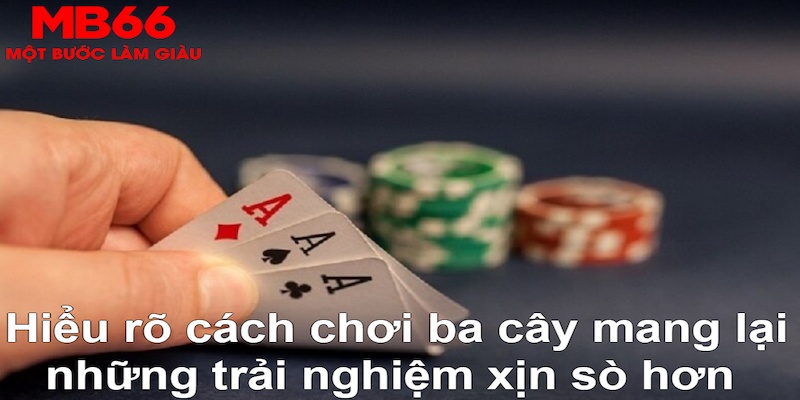555wim ÁT CHỦ BÀI GIÀNH LẤY ZHUANG NIUNIU ( XEM 3 LÁ )