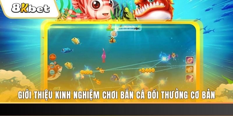 555wim 8 bí ẩn chơi nổ hũ ít ai biết