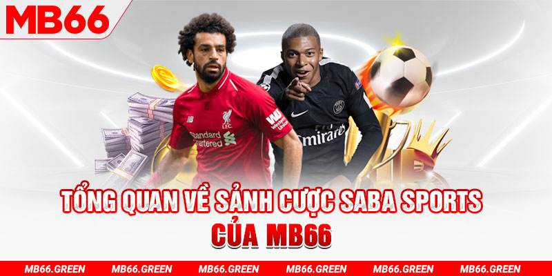 555wim slot có nghĩa là gì