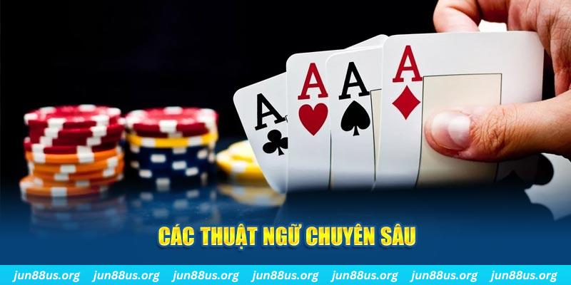 555wim PT Điện Tử
