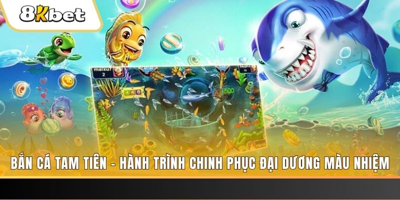 555wim đá gà hôm nay