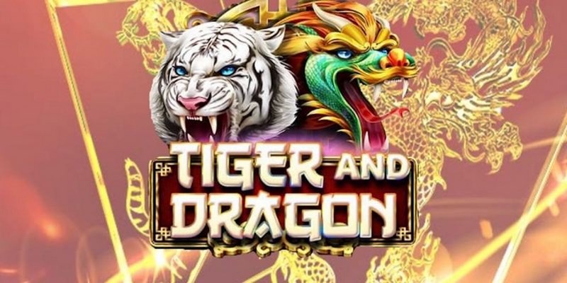 555wim trực tiếp đá gà thomo