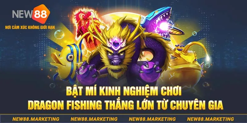 555wim who wants to be a millionaire slot