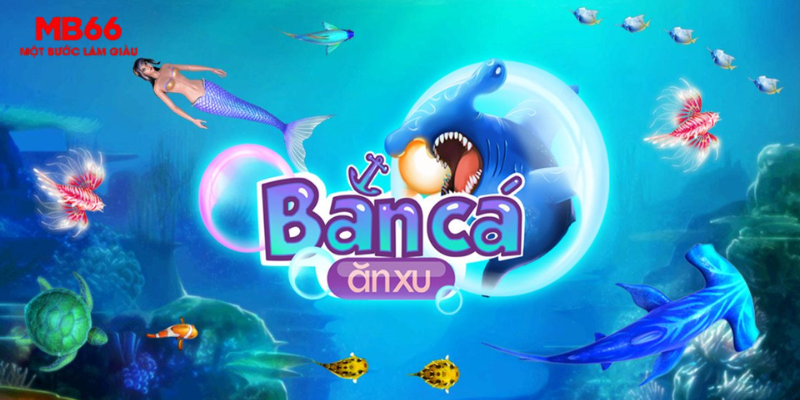 555wim slot là gi