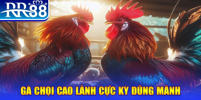 555wim natural” trong baccarat nghĩa là gì？